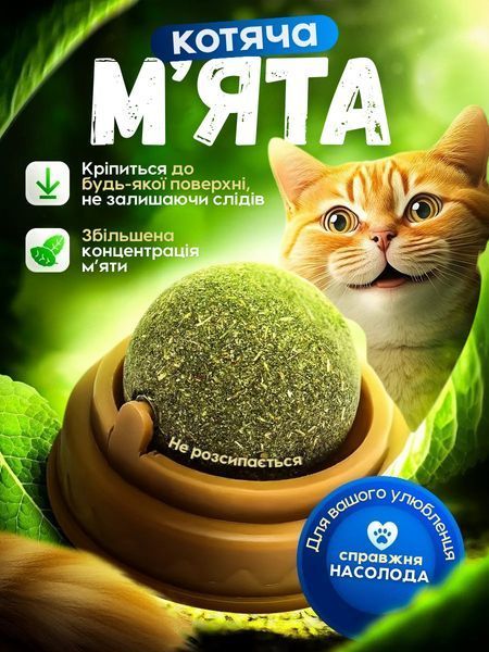 Котяча м'ята іграшка кулька для котів з кріпленням та кришкою 0059 фото
