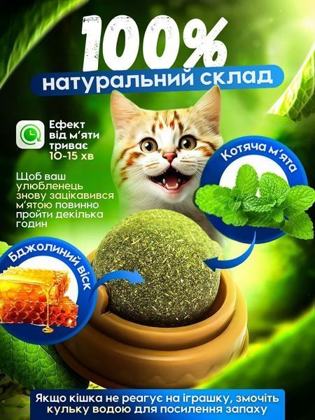 Котяча м'ята іграшка кулька для котів з кріпленням та кришкою 0059 фото